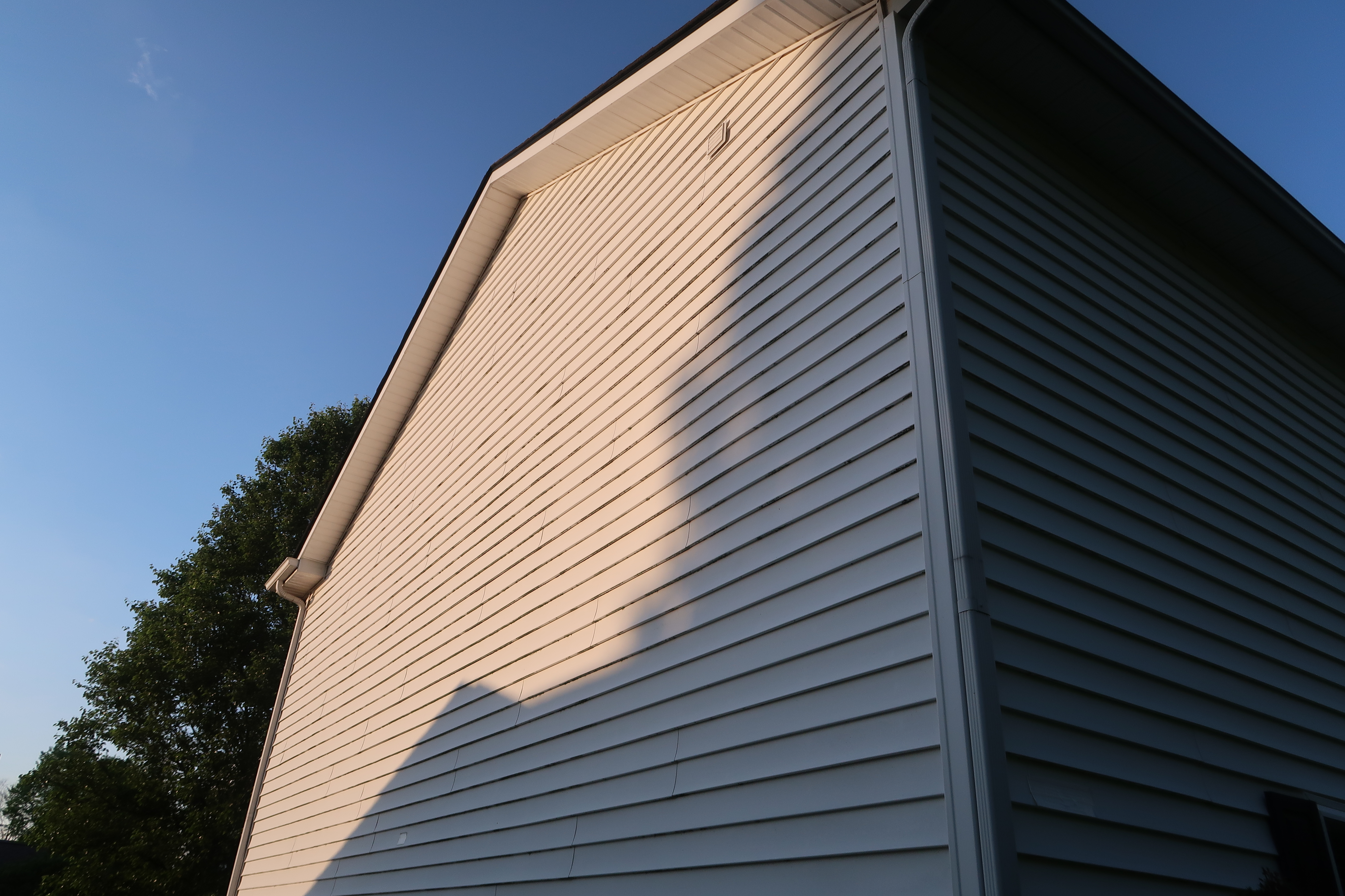 House siding with algae buildup before soft washing