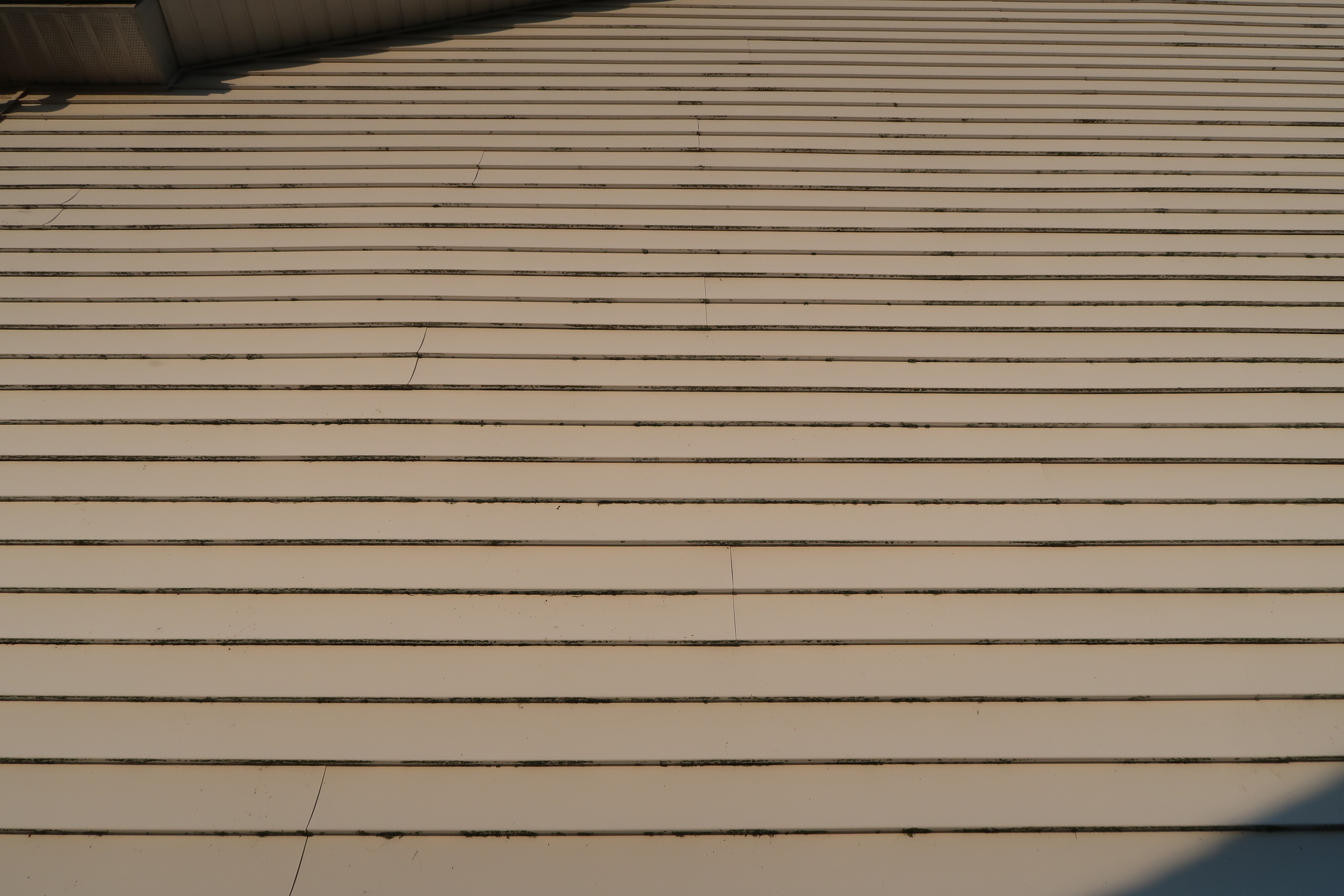 House exterior siding with algae buildup before soft washing