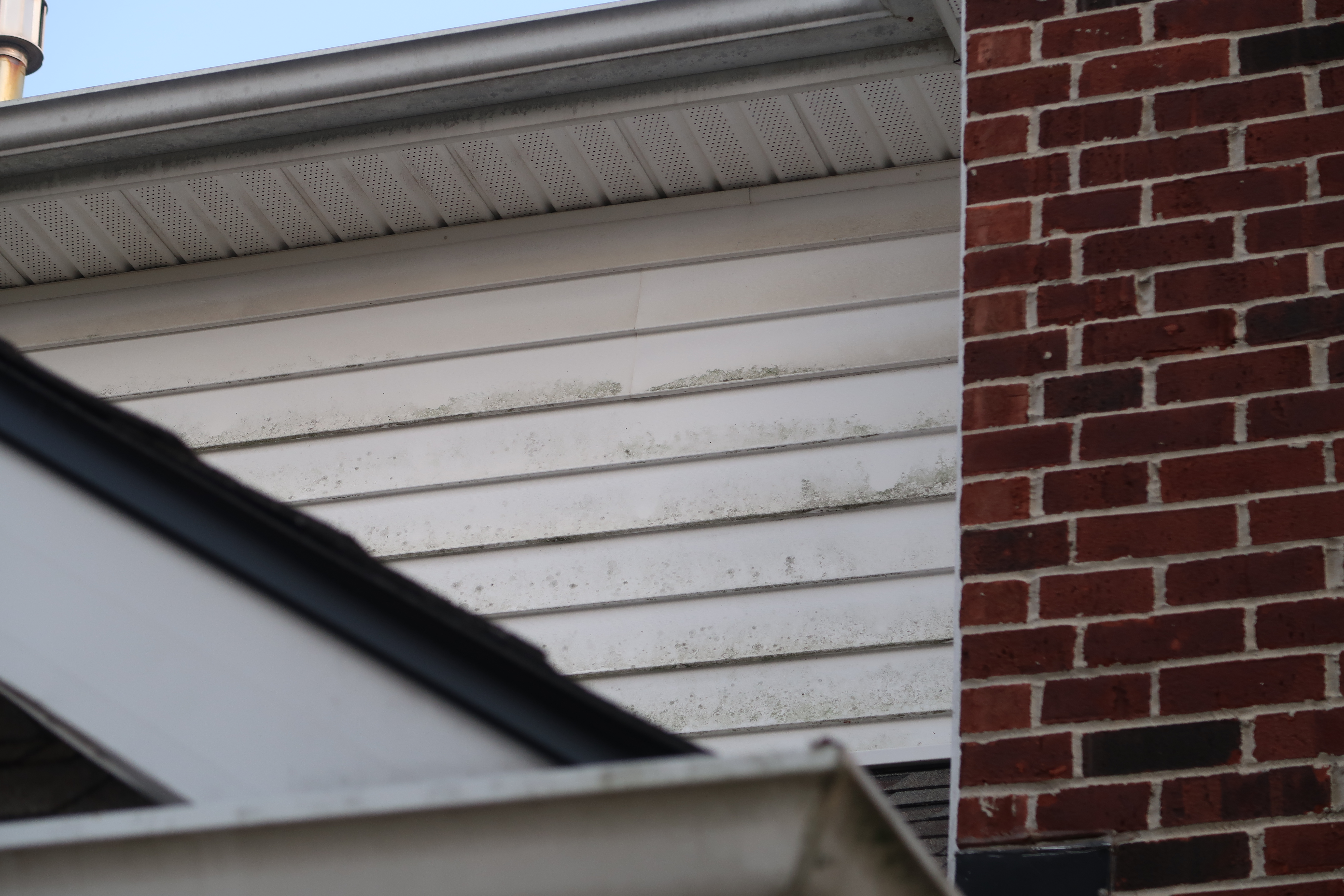 House siding algae before removal