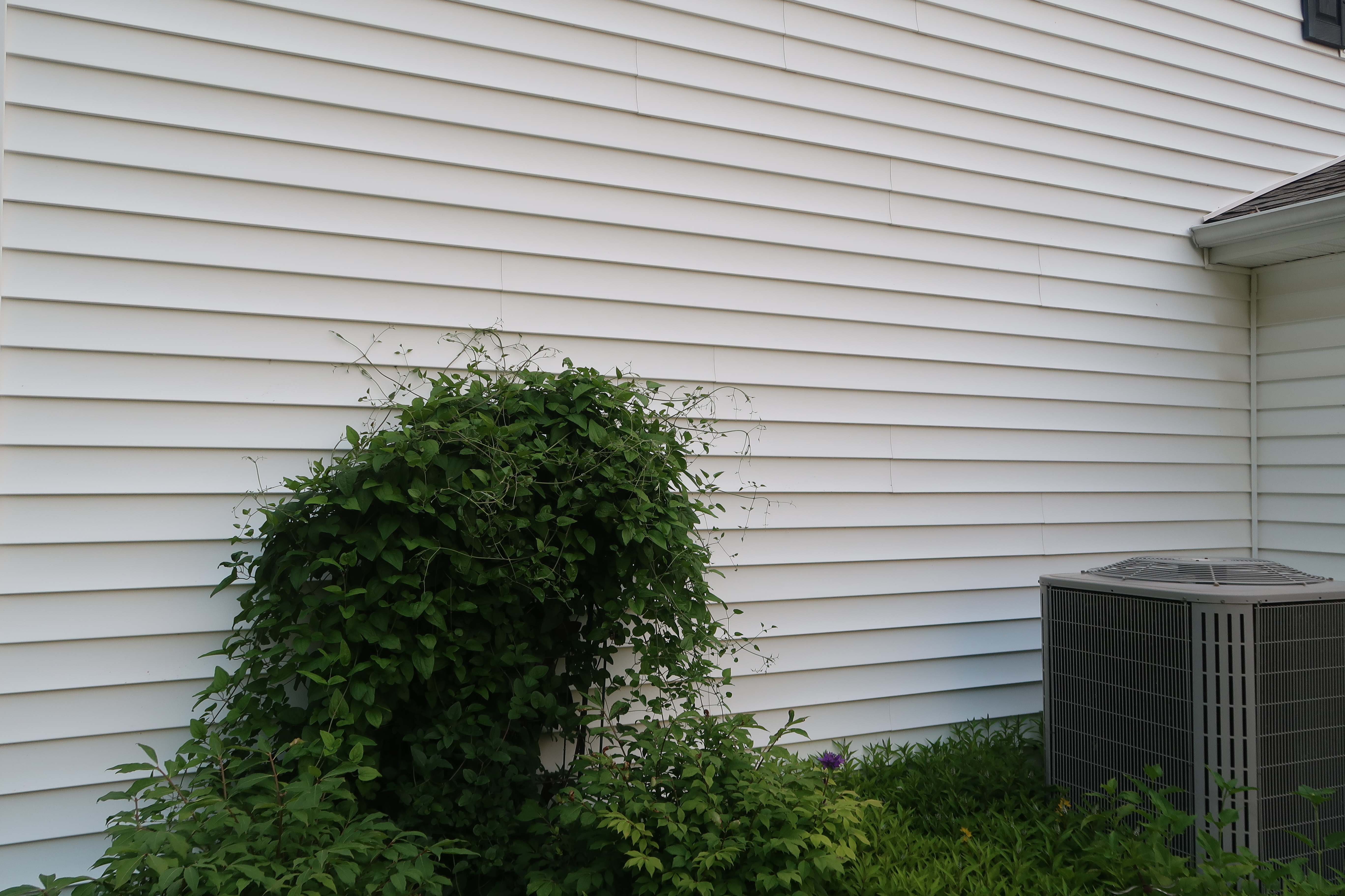House siding clean after washing
