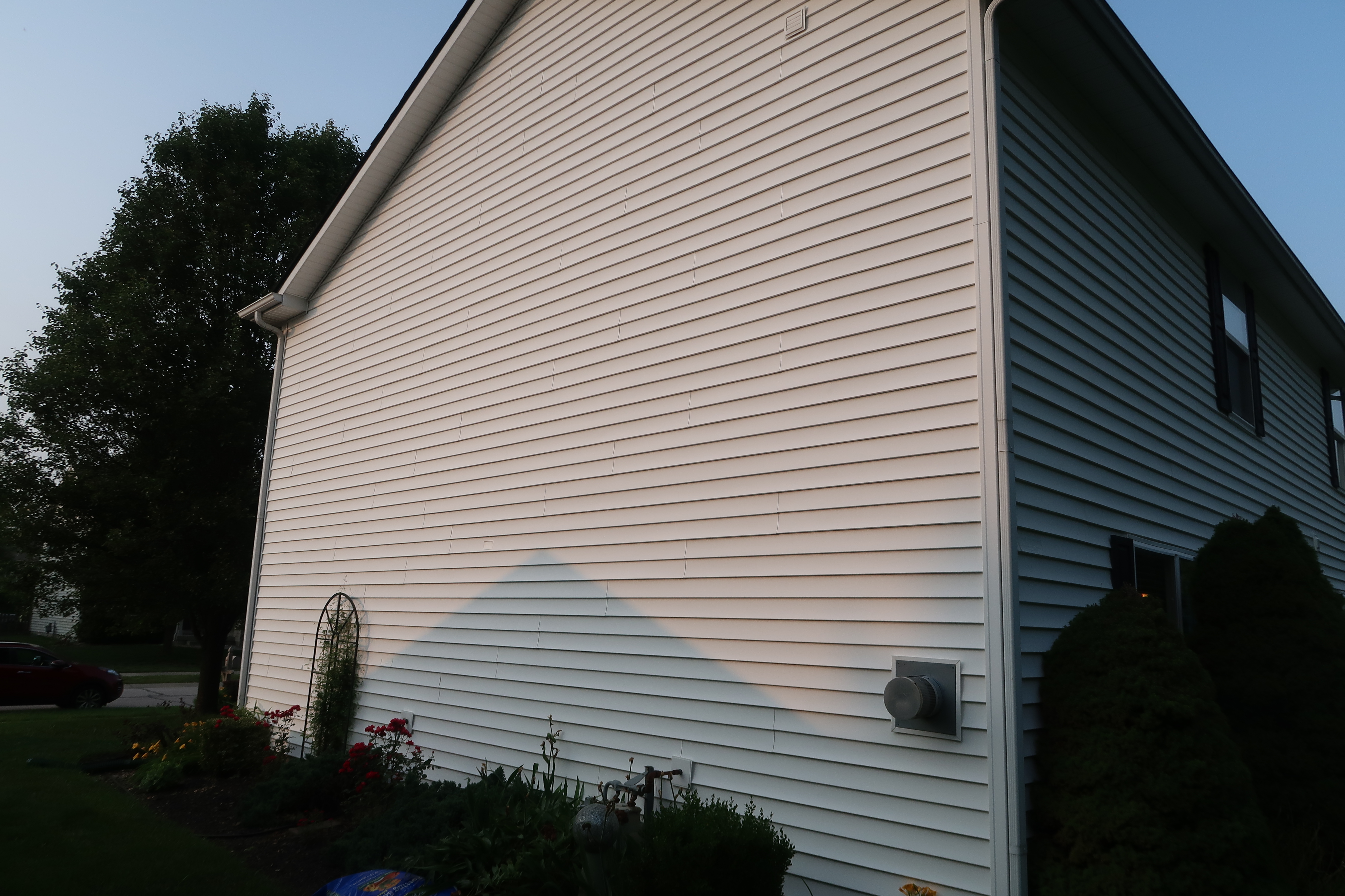 Algae mold covered siding before soft washing