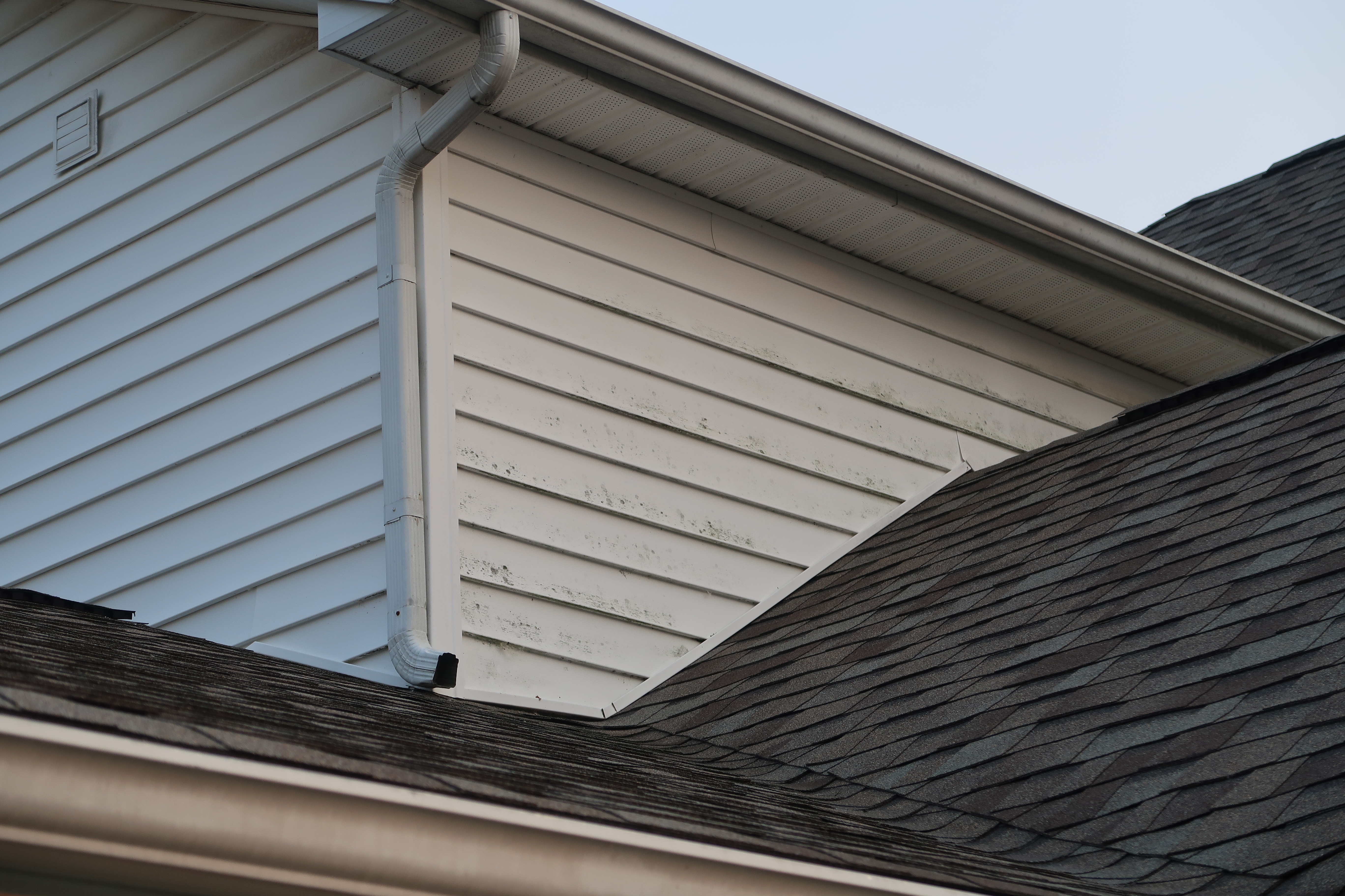 House siding with algae and mold before soft washing