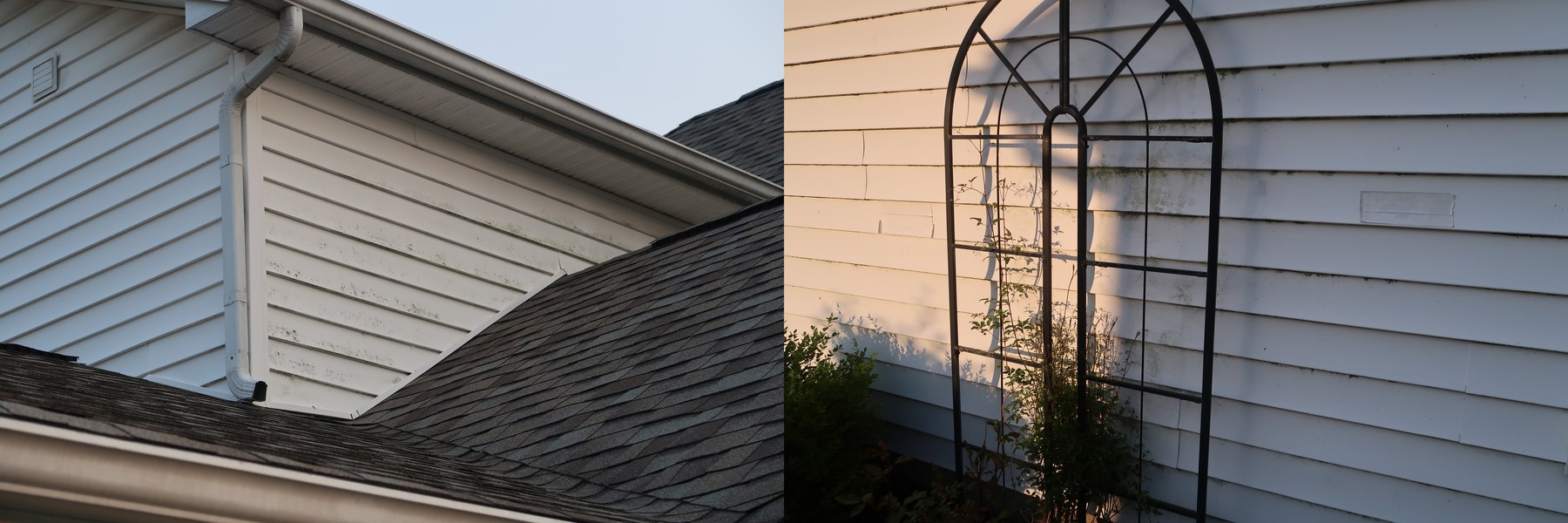 House siding with algae and mold before soft washing